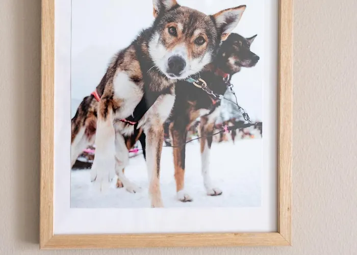 Lapland Bliss Hosted By Hygge Host